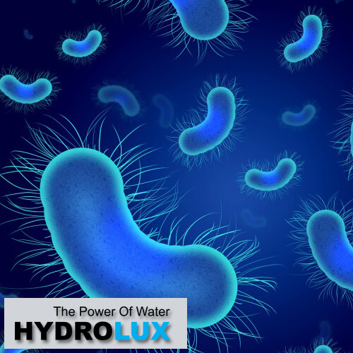 dezinfekcija vode hlorisanjem ili uv sterilizacija vode