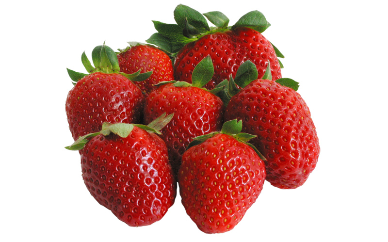 FILTERI ZA NAVODNjAVANjE