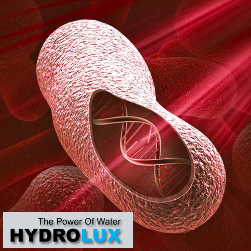 bakterije u vodi, mikrobiološko zagadjenje vode