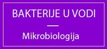 bakterije u vodi za piće, dezinfekcija vode